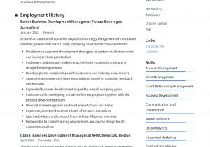 Sample Resume for Senior Business Development Manager 12 Business Development Manager Resume Examples Ideas Manager …