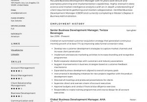 Sample Resume for Senior Business Development Manager Business Development Manager Cv Template Free October 2021