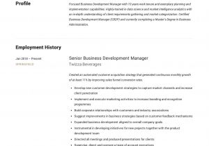 Sample Resume for Senior Business Development Manager Business Development Manager Resume Sample Manager Resume …