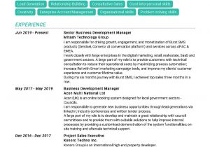 Sample Resume for Senior Business Development Manager Senior Business Development Manager Resume Example In Year 2020