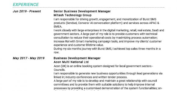 Sample Resume for Senior Business Development Manager Senior Business Development Manager Resume Example In Year 2020