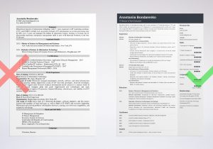 Sample Resume for Senior Center Director It Director Resume: Sample & Writing Guide [20lancarrezekiq Tips]