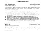 Sample Resume for Senior Executive Ceo Best Executive Resume Templates for 2022 [free Word Downloads]