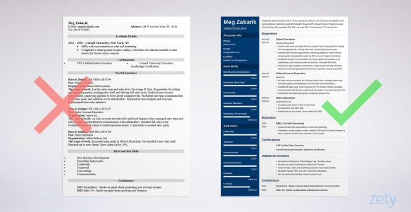 Sample Resume for Senior Executive Outline Best Executive Resume Template & 20lancarrezekiq C-level Examples