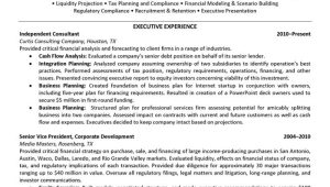 Sample Resume for Senior Finance Executive Senior Financial Executive Resume