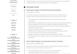 Sample Resume for Senior Graphic Designer Graphic Designer Resume & Writing Guide  12 Resume Examples 2022