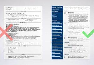 Sample Resume for Senior Level Position Best Executive Resume Template & 20lancarrezekiq C-level Examples
