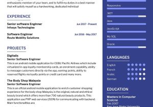 Sample Resume for Senior Natural software Developer Senior software Engineer Cv Sample 2022 Writing Tips – Resumekraft