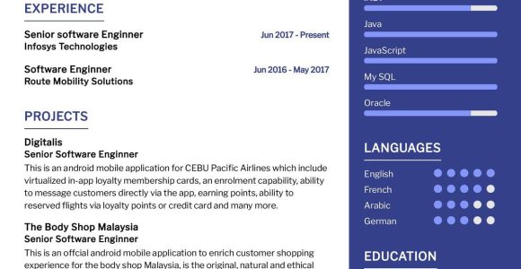 Sample Resume for Senior Natural software Developer Senior software Engineer Cv Sample 2022 Writing Tips – Resumekraft