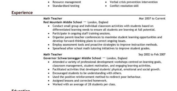 Sample Resume for Senior Sales Executive Executive Resume Examples 2015 – Tipss Und Vorlagen