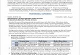 Sample Resume for Senior Sales Executive Sales Manager Resume Example – Distinctive Career Services