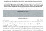 Sample Resume for Senior Sales Executive Senior Executive Resume Examples Australia 2021 Executive Resume …