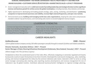 Sample Resume for Senior Sales Executive Senior Executive Resume Examples Australia 2021 Executive Resume …