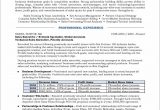 Sample Resume for Senior Sales Professional Sales Manager Resume Example – Distinctive Career Services