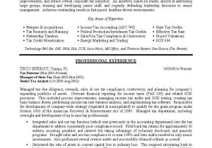Sample Resume for Senior Tax Accountant Tax Director Sample Resume , Tax Manager Resume , Becoming A Tax …