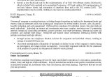 Sample Resume for Senior Tax Manager Tax Director Sample Resume- Professional Resume Writing Services