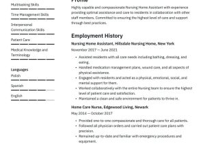Sample Resume for Server In Senior Home Nursing Home Resume Examples & Writing Tips 2022 (free Guide)