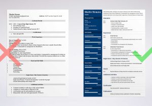 Sample Resume for Server with No Experience Teenager Resume Examples (also with No Work Experience)