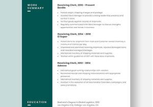 Sample Resume for Shipping Receiving Clerk Free Free Receiving Clerk Resume Template – Word, Apple Pages …