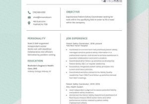 Sample Resume for Site Safety Supervisor Safety Coordinator Resume Templates – Design, Free, Download …