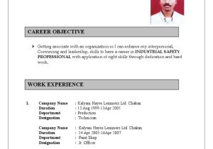 Sample Resume for Site Safety Supervisor Safety Officer Resume Pdf Safety Occupational Safety and Health