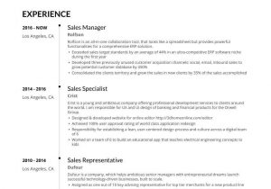 Sample Resume for Sm Department Store Sales Manager: Resume Examples for 2021