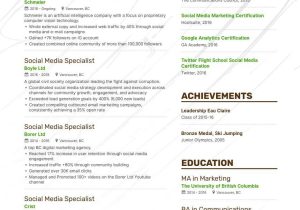 Sample Resume for social Media Coordinator social Media Manager Resume Examples & Guide for 2022 (layout …