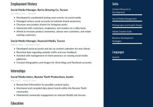 Sample Resume for social Media Manager social Media Manager Resume Examples & Writing Tips 2021 (free Guide)
