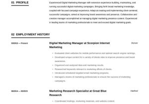 Sample Resume for social Media Marketing Job Digital Marketing Manager Resume Example & Writing Guide Â· Resume.io