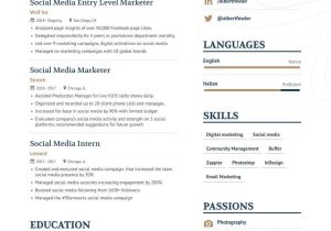 Sample Resume for social Media Marketing Job social Media Manager Resume Examples & Guide for 2022 (layout …