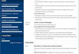 Sample Resume for software Account Manager Account Manager Resumeâexamples and 25lancarrezekiq Writing Tips