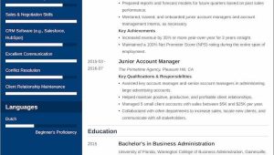 Sample Resume for software Account Manager Account Manager Resumeâexamples and 25lancarrezekiq Writing Tips