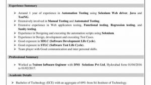 Sample Resume for software Test Engineer Fresher software Testing Resume for Freshers