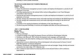 Sample Resume for software Tester 2 Years Experience Testing Resume Sample – Good Resume Examples