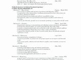Sample Resume for someone Returning to the Workforce Reentering the Workforce Resume Examples Luxury 12 13