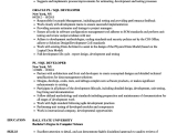 Sample Resume for Sql Developer Experienced Pl Sql Developer Resume 2 Years Experience to whom It