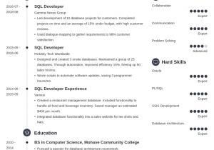 Sample Resume for Sql Developer Experienced Sql Developer Resume Sample 20 Examples & Tips