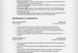 Sample Resume for Stay at Home Mom Reentering Workforce Example Resume Example Resume after Being A Stay at Home Mom