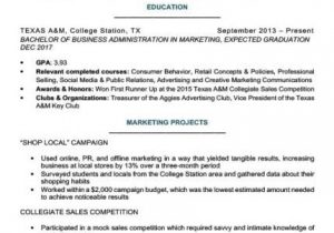 Sample Resume for Student who Has Never Worked 10 Resume Template for someone who Has Never Worked Free