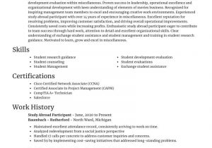 Sample Resume for Study Abroad Application Study Abroad Participant Resumes