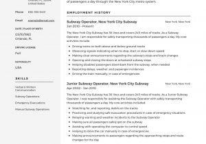 Sample Resume for Subway Restaurant Worker 12 Subway Operator Resume Sample S 2018 Free Downloads