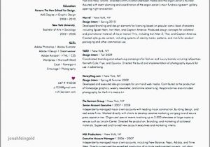 Sample Resume for Subway Restaurant Worker Word Line Resume Template Beautiful Resume Website