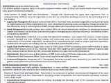 Sample Resume for Supply Chain Executive It Executive Resume Writing Services