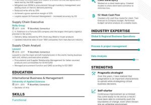 Sample Resume for Supply Chain Executive Supply Chain Analyst Resume: 8-step Ultimate Guide for 2021 Enhancv