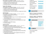 Sample Resume for Supply Chain Executive Supply Chain Manager Resume Example 2021 Writing Tips – Resumekraft