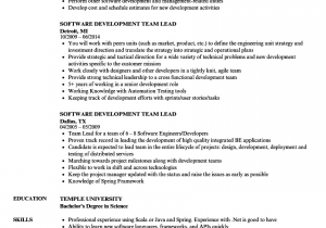 Sample Resume for Team Leader In software software Development Team Lead Resume Samples