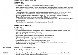 Sample Resume for Team Leader In software software Team Lead Resume Samples