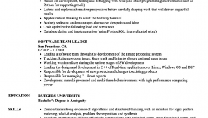 Sample Resume for Team Leader In software software Team Leader Resume Samples