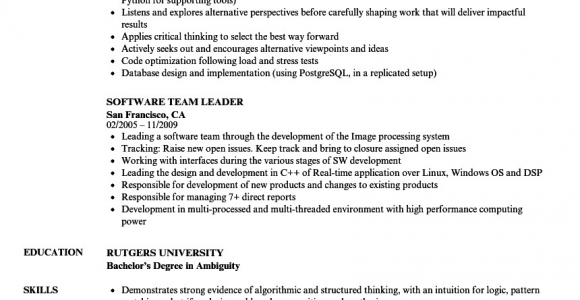 Sample Resume for Team Leader In software software Team Leader Resume Samples