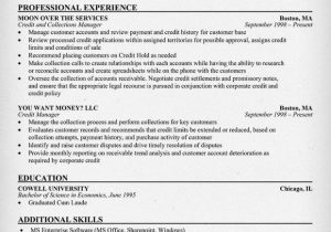 Sample Resume for the Post Of Credit Manager Credit Manager Resume